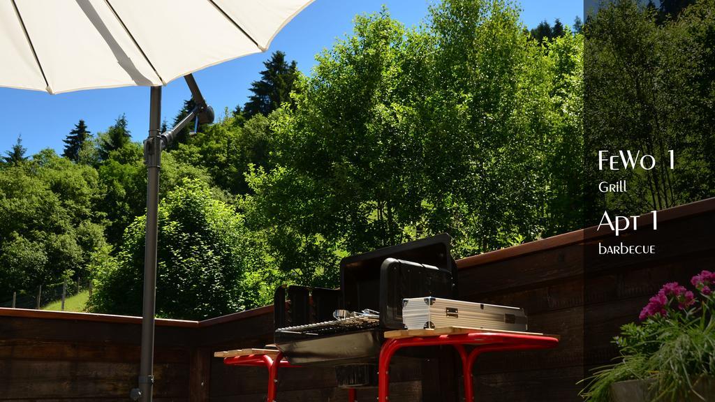 Ferienhaus Auschmiede Hollersbach im Pinzgau Exteriér fotografie